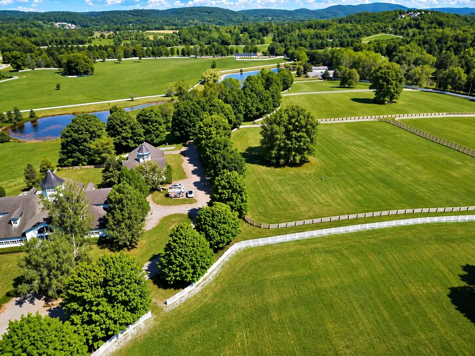 Aerial view of a country estate with a pond and cupola